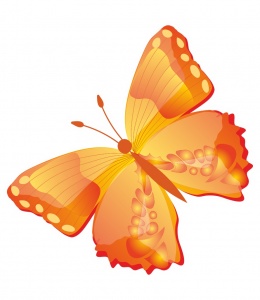 ������������ �������� "�������", ��������