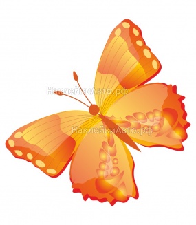 ������������ �������� "�������", ��������