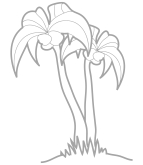 �������� �� ������ � ������ "������"