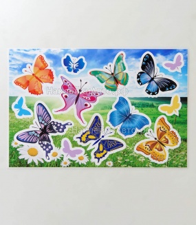 ������������ ������� "�������"