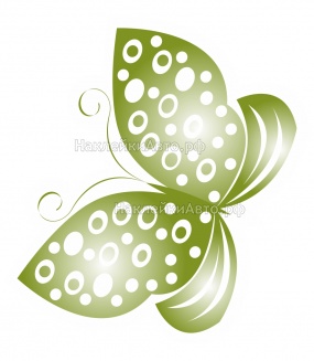 ������������ �������� "�������", ������� ��������