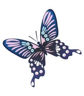 ������������ �������� "�������", ����-�������