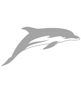 ��������� �������� � ������ "�������"