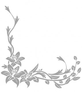 �������� �� ������ "����"