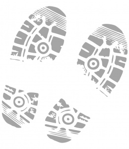 �������� �� ������ "����� �������"