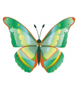 ������������ �������� "�������", �������